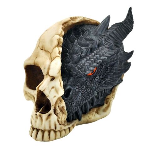 Shadows of Darkness Black Dragon in Skull Large