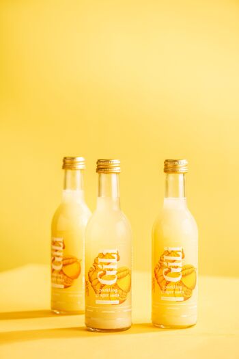 GILI Galvanizing Lemonade with Ginger 3
