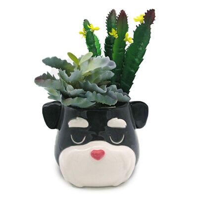 Freistehender Blumentopf/Pflanztopf aus Keramik in Form eines Schnauzer-Hundekopfes