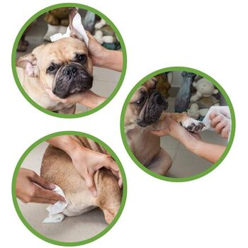 Lingettes humides biodégradables pour chiens et chats - Pet Wipes 4