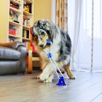 Pull&Play avec jeu de bâtons pour chiens 4