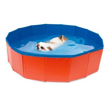 Piscine pour chiens 1