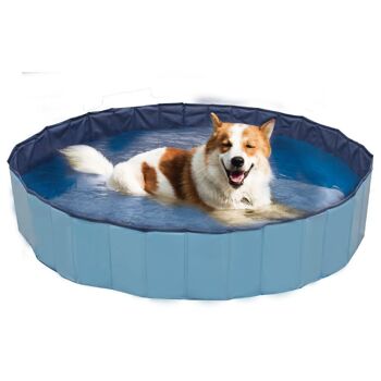 Piscine pour chiens - Explorateur 4