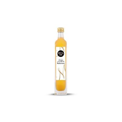 Specialty Vinegar with Kalamansi pulp - 100 ml