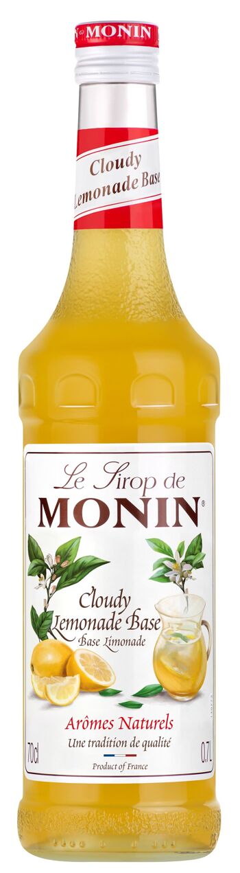 Sirop de Cloudy Limonade MONIN pour base limonade 1