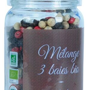 Mélange 3 baies Biologique - 45g - Moulin