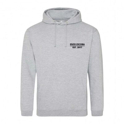 Unisex hoodie Globe gray