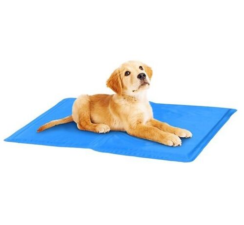 Pet products - Maxxpro small blue pet cooling gel mats