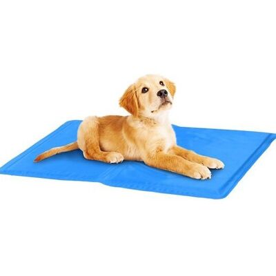 Pet products - Maxxpro small blue pet cooling gel mats