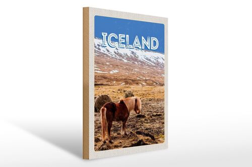 Holzschild Reise 30x40cm Iceland Pony icelandic horse Geschenk