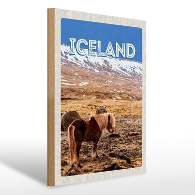 Holzschild Reise 30x40cm Iceland Pony icelandic horse Geschenk