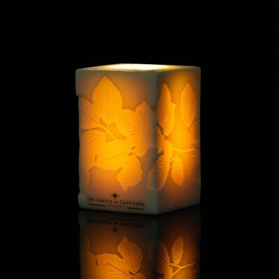 Sparkling plant candle