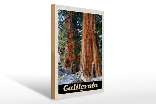 Holzschild Reise 30x40cm Kalifornien Amerika Natur Wald Bäume