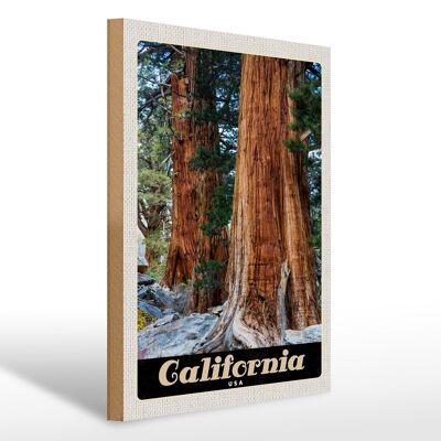 Holzschild Reise 30x40cm Kalifornien Amerika Natur Wald Bäume