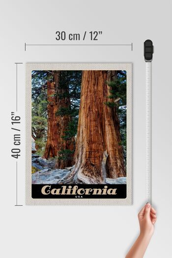 Panneau en bois voyage 30x40cm Californie Amérique nature arbres forestiers 4