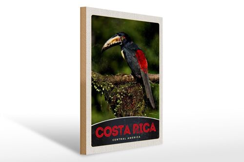 Holzschild Reise 30x40cm Costa Rica Central Amerika Vogel Natur