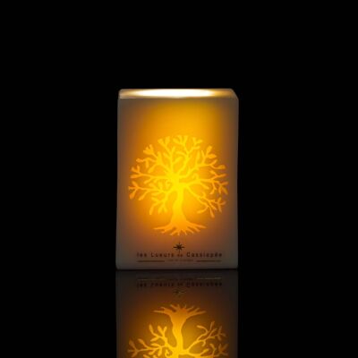 Vela chispeante del árbol de la vida