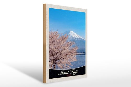 Holzschild Reise 30x40cm Mont Fuji Japan Asien Gebirge Baum