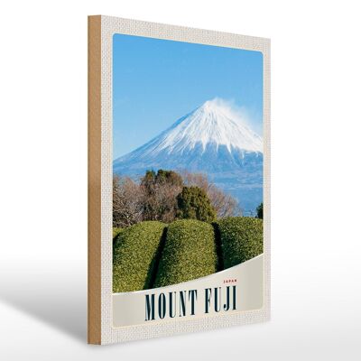 Holzschild Reise 30x40cm Mont Fuji Japan Asien Gebirge Natur