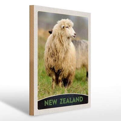 Holzschild Reise 30x40cm Neuseeland Europa Schaf Wiese Natur