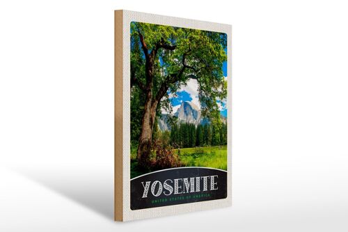 Holzschild Reise 30x40cm Yosemite Amerika Natur Bäume Gebirge