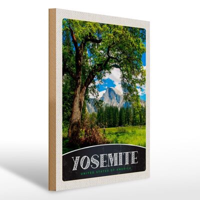 Holzschild Reise 30x40cm Yosemite Amerika Natur Bäume Gebirge