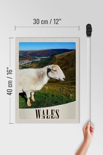Panneau en bois voyage 30x40cm Pays de Galles Royaume-Uni prairie de moutons nature 4