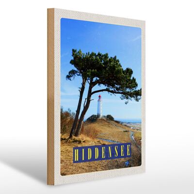 Holzschild Reise 30x40cm Hiddensee Leuchtturm Baum Weide Wiese