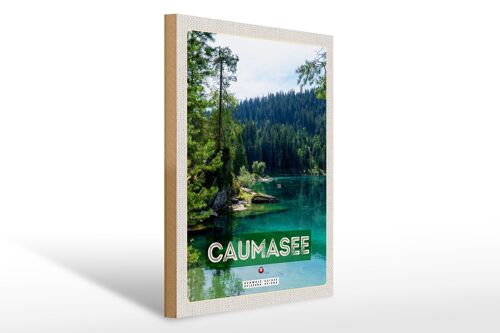 Holzschild Reise 30x40cm Caumasee Schweiz Berge Wälder Natur