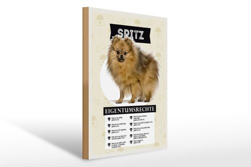 Holzschild Spruch 30x40cm Spitz Eigentumsrechte Geschenk