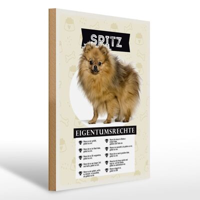 Holzschild Spruch 30x40cm Spitz Eigentumsrechte Geschenk