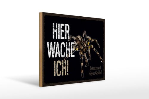 Holzschild Spruch 40x30cm Spinne hier wache ich eigene Gefahr