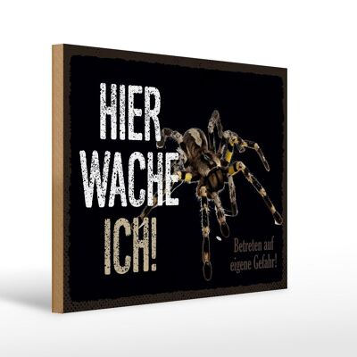 Holzschild Spruch 40x30cm Spinne hier wache ich eigene Gefahr