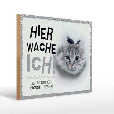 Holzschild Spruch 40x30cm Katze hier wache eigene Gefahr