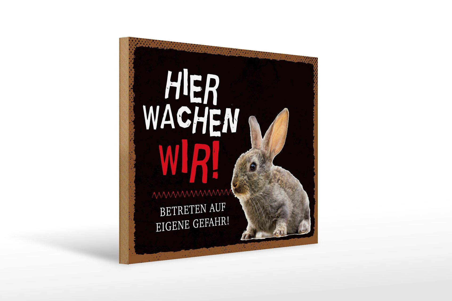 Cartello in legno con scritta 40x30 cm animali coniglio qui guardiamo