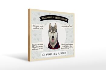 Panneau en bois disant 40x30cm animaux husky bienvenue vivre ici 1