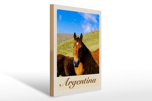Holzschild Reise 30x40cm Argentinien Wiese Pferde Urlaub