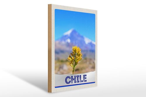 Holzschild Reise 30x40cm Chile Blume Gebirge Urlaub