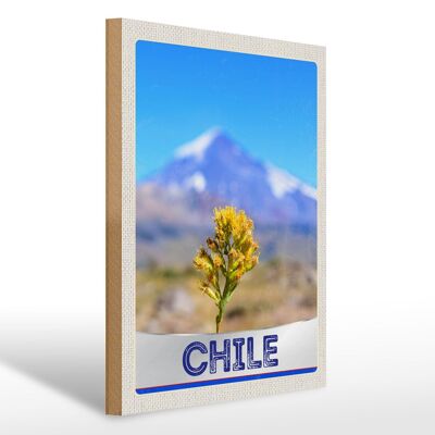 Holzschild Reise 30x40cm Chile Blume Gebirge Urlaub