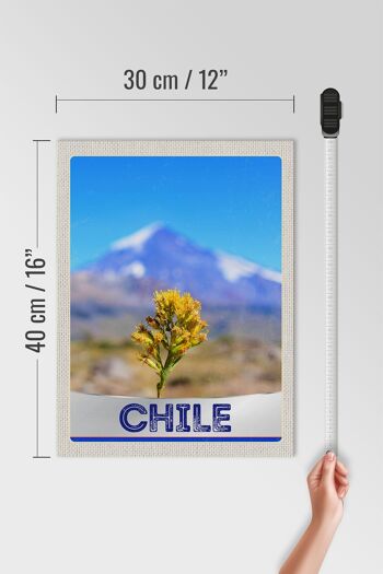 Panneau en bois voyage 30x40cm Chili fleurs montagnes vacances 4