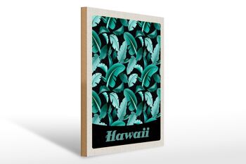 Panneau en bois voyage 30x40cm Île d'Hawaï plage plumes bleues 1