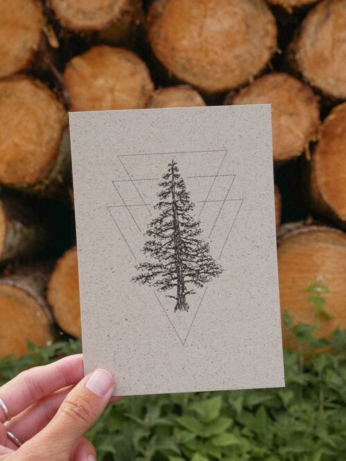 Graspapier Karte Into the woods