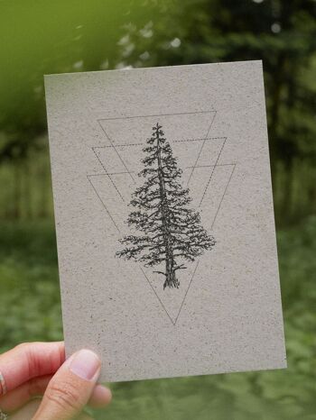 Carte en papier d'herbe Dans les bois 2