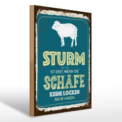 Holzschild Spruch 30x40cm Sturm ist erst, wenn Schafe blau