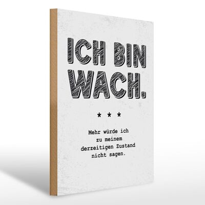 Holzschild Spruch lustig Zustand Ich bin wach 30x40cm