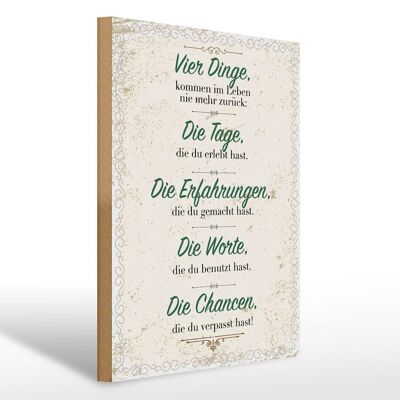 Holzschild Spruch Vier Dinge kommen nie zurück 30x40cm