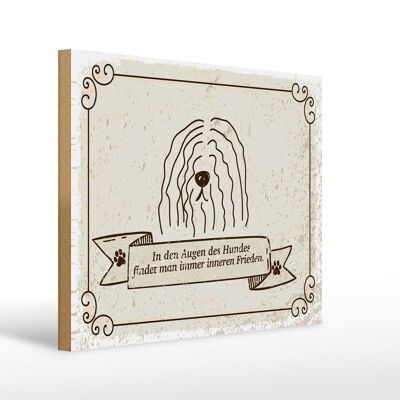 Holzschild Spruch In den Augen des Hundes Frieden 40x30cm