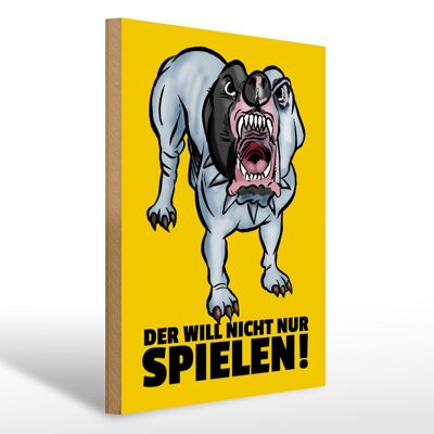 Holzschild Spruch 30x40cm Der will nicht nur spielen Hund