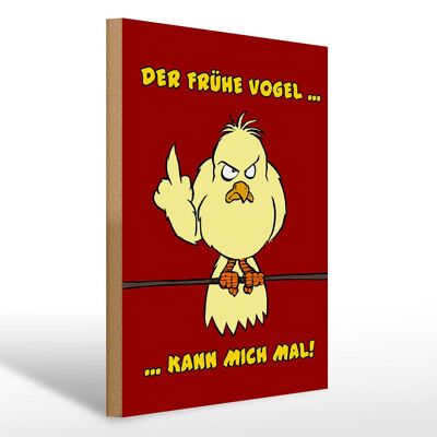 Holzschild Spruch 30x40cm Der frühe Vogel kann mich mal