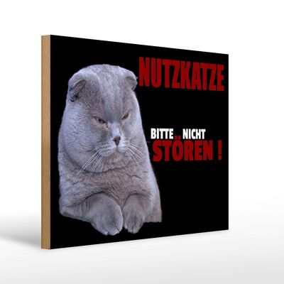 Holzschild Spruch 40x30cm Nutzkatze bitte nicht stören schwarz.